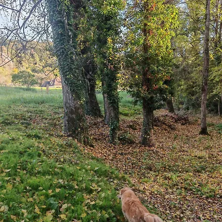 Сasa de vacaciones Les Girouteaux La Bergerie *